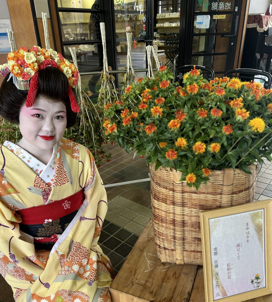 山形の県花「紅花」とやまがた舞子の「まつり」です。